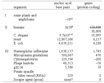 Table 
of genome sizes