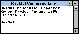 RasMol Command Line screen