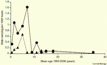 Rate of stick-carrying incidents vs age, for male and female chimps.