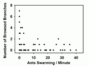 Response of elephants to number of ants on tree branches.