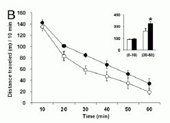 Heijtz Figure 1B: Motor activity of mice with/without gut bacteria