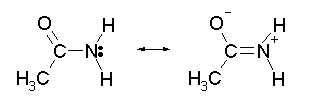 An amide; resonance structures.