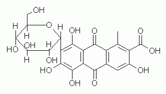 carminic acid